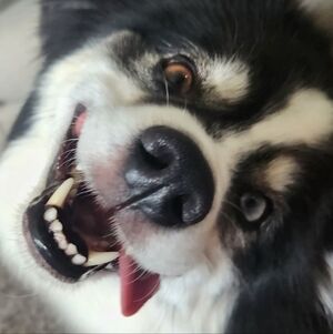 Meet your Posher, Mike